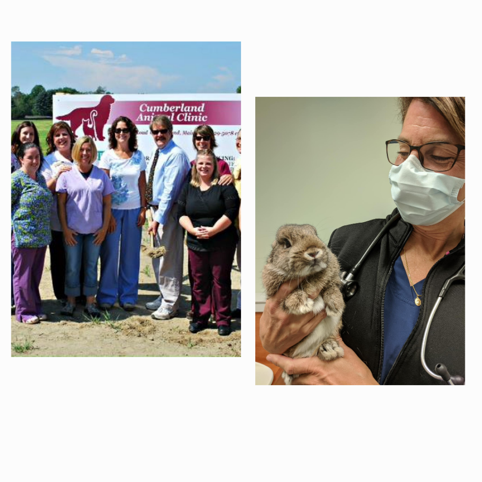 Best Veterinary Hospital In Cumberland Center, ME 04021