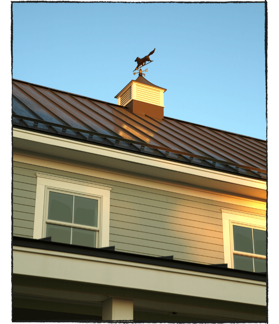 Cumberland Animal Clinic Gallery Vet Clinic In Cumberland, ME 04021