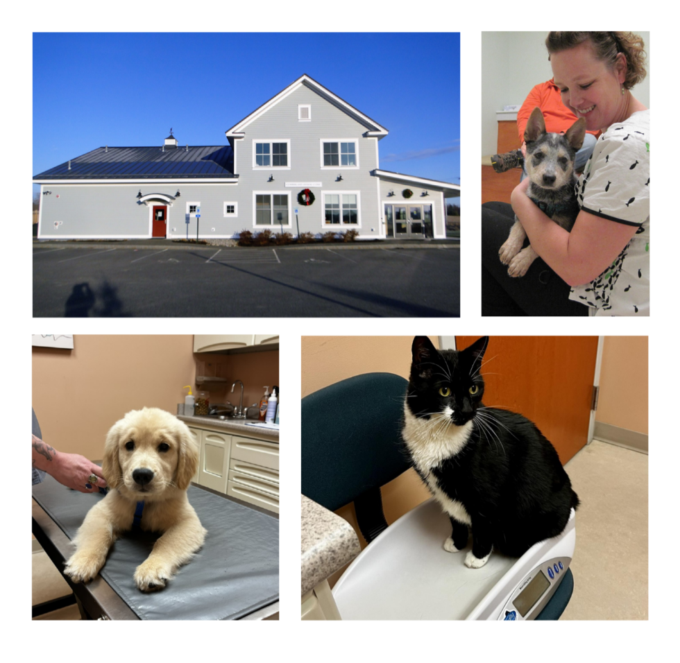 Best Veterinary Hospital In Cumberland Center, ME 04021