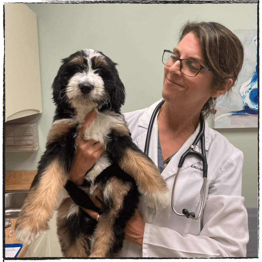 doctor with a dog